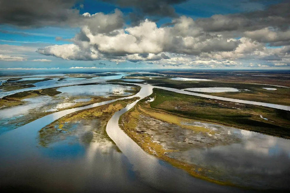 Access challenges: Nenets region in the north of Russia in summer time