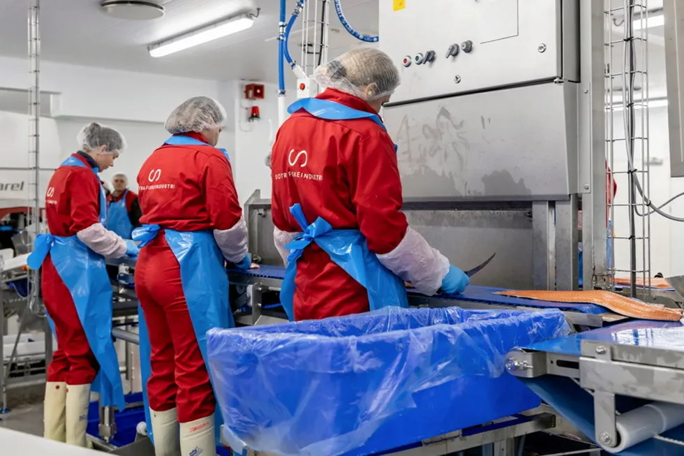 Norwegian salmon prices have risen sharply in the last week as the market grapples with reduced availability.