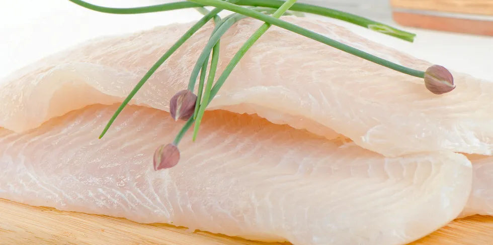 Brazil imports around 50,000 metric tons of frozen pangasius fillets but demand for fresh product is taking off.