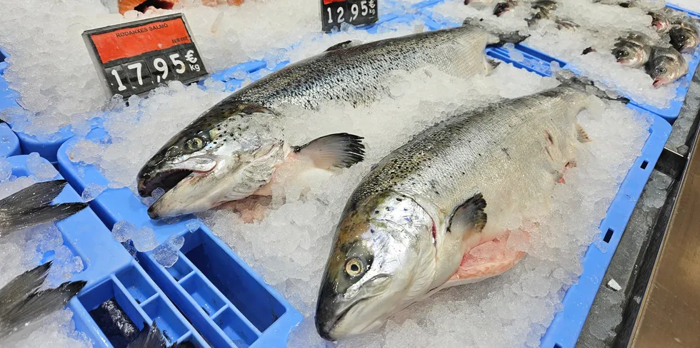 Fresh farmed salmon sits on ice in a Barcelona fish market. Prices for the fish have collapsed in recent weeks.