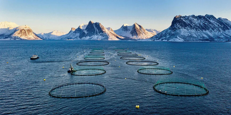 What are the issues that are set to really shape the farmed salmon sector going forward?