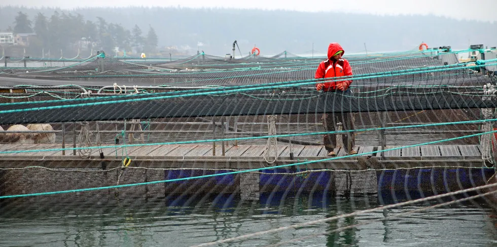 Cooke employee says Washington Commissioner of Public Lands Hilary Franz is creating a potentially dangerous situation for its employees by requiring the removal of the company's Hope Island salmon farm site in Washington state by April of next year.