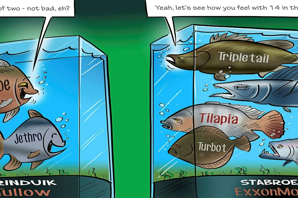 Scaling up: Tullow Oil landed its second discovery on its Orinduik block off Guyana after success at Joe, but it has a long way to go to match ExxonMobil, which unveiled its fourteenth find on Stabroek at Tripletail