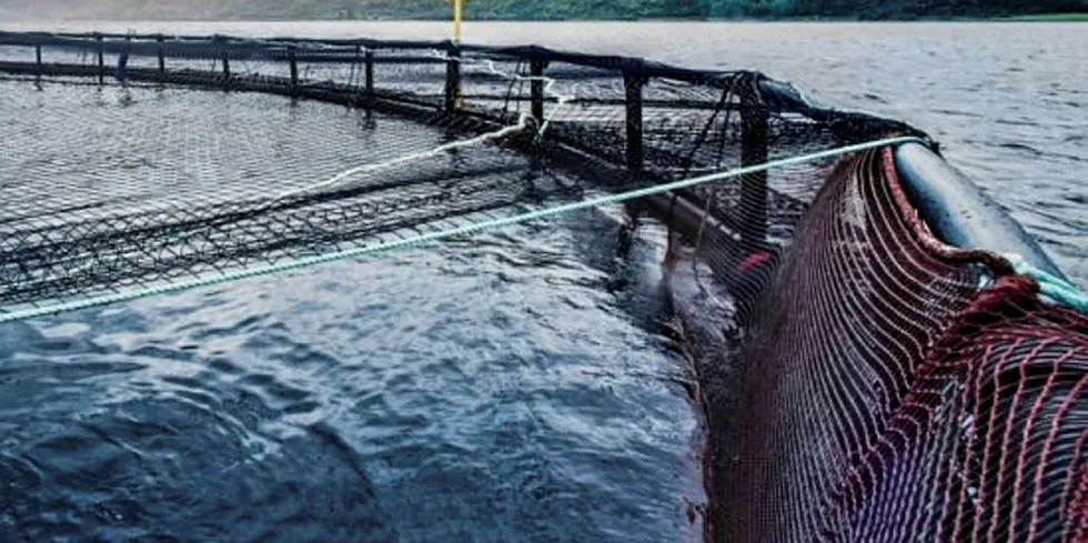 Scottish Salmon Company sea water production site, Loch Carron, StromeScottish Salmon Farm, Scotland.