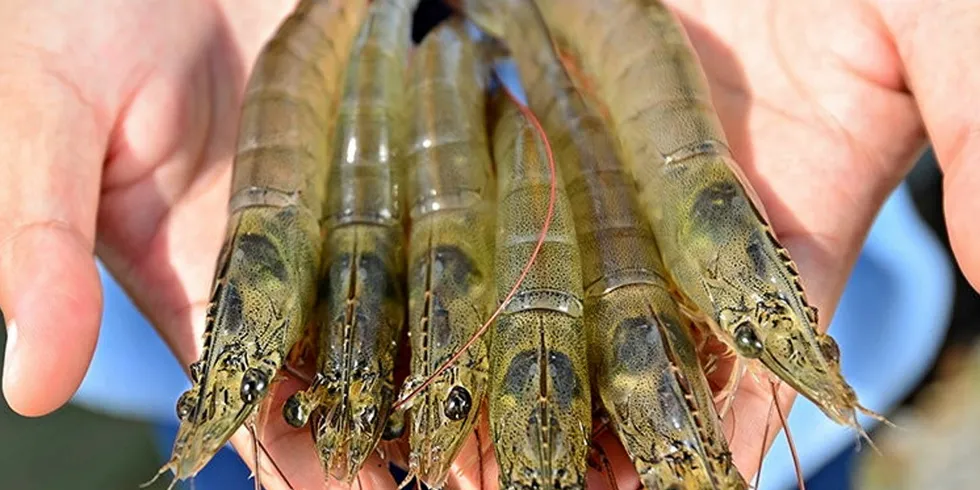 Cargill has hired a new digital project leader for seafood.