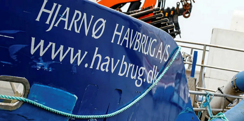 Danish trout farmer Hjarno Havbrug allegedly discharged a significantly greater amount of nitrogen and phosphorus into the sea than allowed.