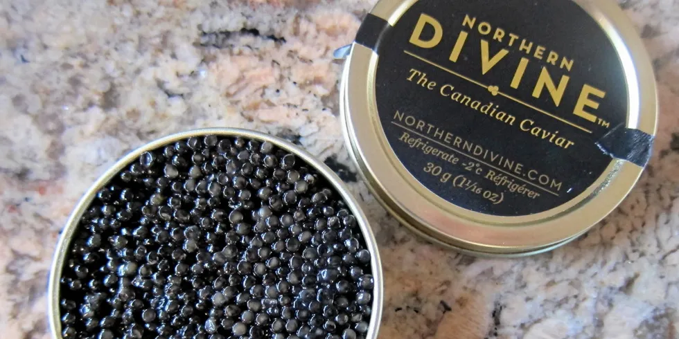 Caviar & Caviar currently produces two metric tons of sturgeon caviar a year but is aiming to raise this to 25 metric tons along with 150 metric tons of sturgeon meat.