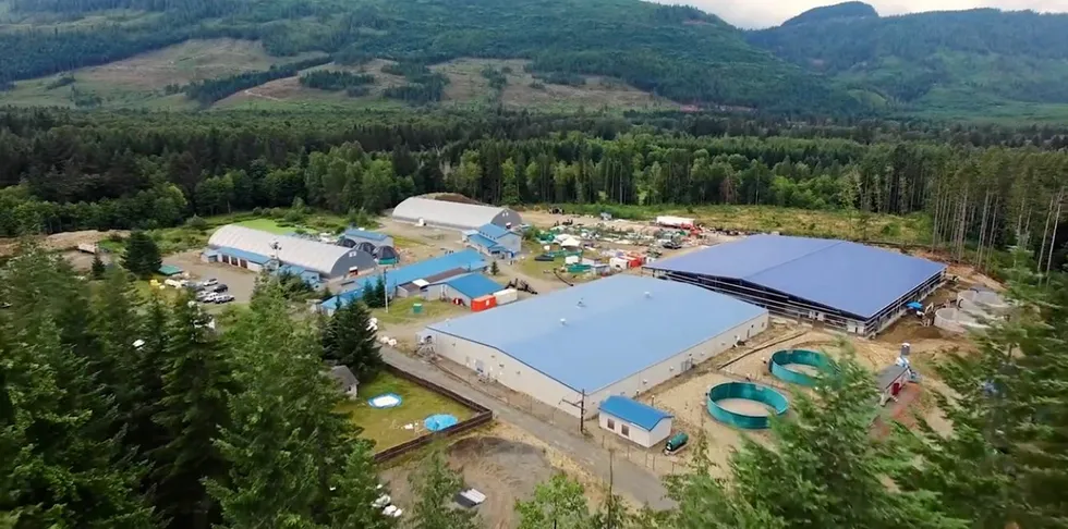 Mowi's British Columbia-based Dalrymple freshwater hatchery closed in May due to the decision to not renew licenses in Discovery Islands.
