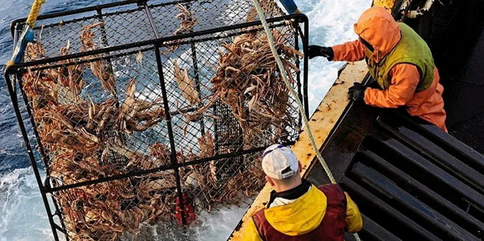 The Alaska red king crab fishery in Bristol Bay has been closed for two years in a row. Could this year be different?