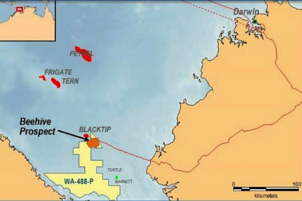 Survey: the Beehive prospect off Northern Australia in WA-488-P
