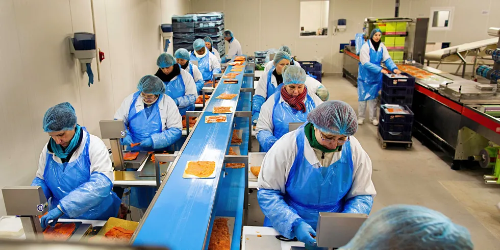 Norwegian salmon prices were skyrocketing on Friday, surpassing NOK 80 (€8/$9.70) per kilo for some of the larger fish
