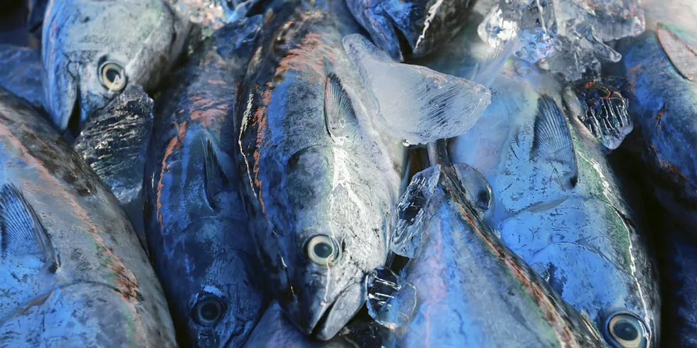 The tuna firms have been fighting over years-old debts.