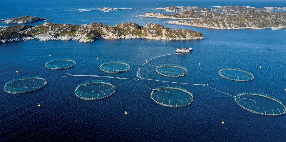 Mowi's farmed salmon facility in Haveroy is located in Oygarden close to Bergen, Norway.