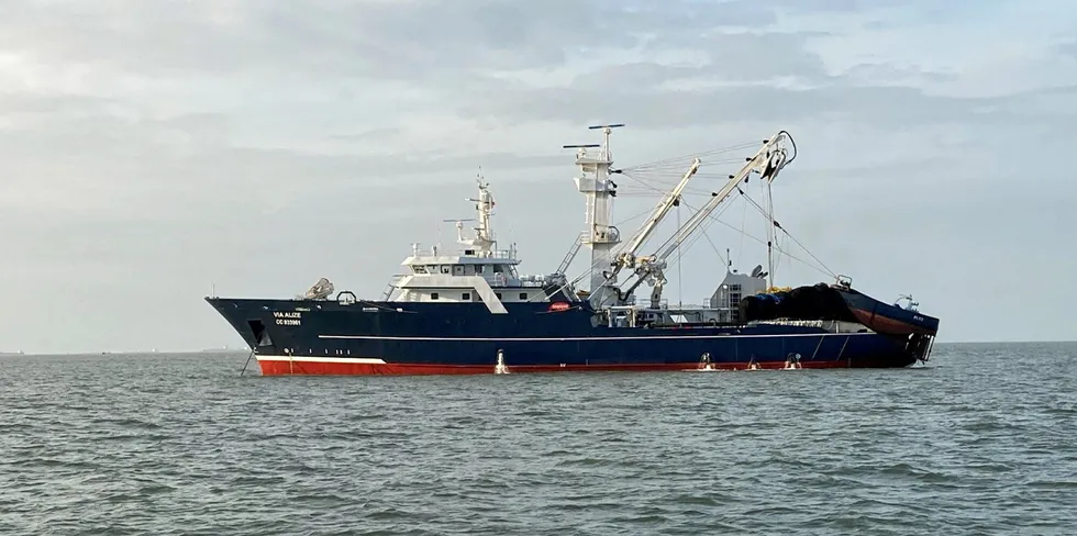 One of Via Ocean's purse seiners, Via Alize.