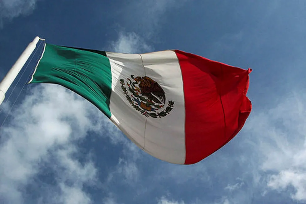 Mexico flag