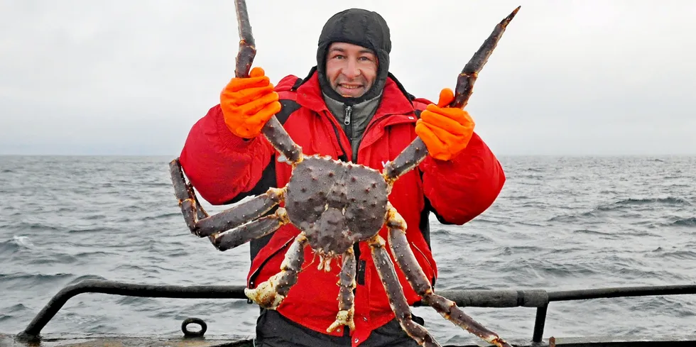 Last week, fishermen in North Yorkshire found their pots heavy with the lucrative species prized for their sweet flesh.