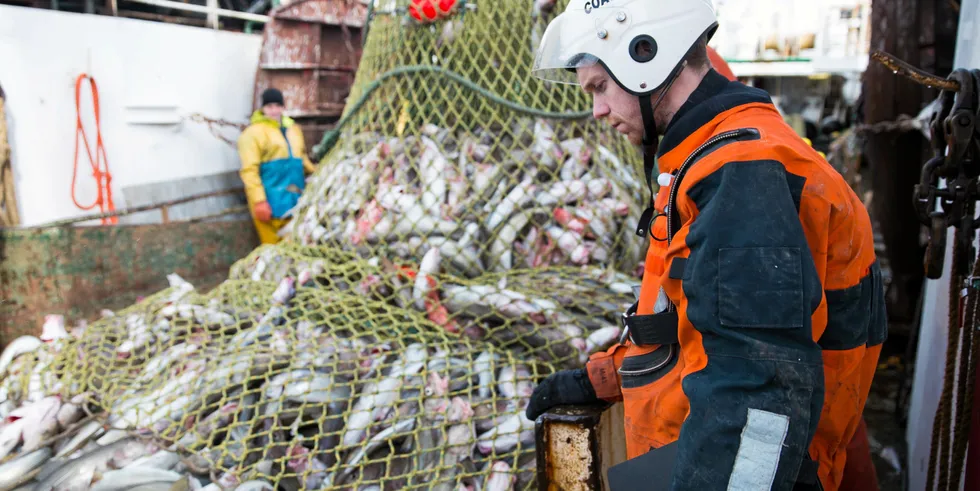 En inspektør fra KV Svalbard ser på trålen under en inspeksjon. / An inspector from CGV Svalbard look at the trawl during an inspection. . Kystvakt-inspeksjon av en russisk tråler.