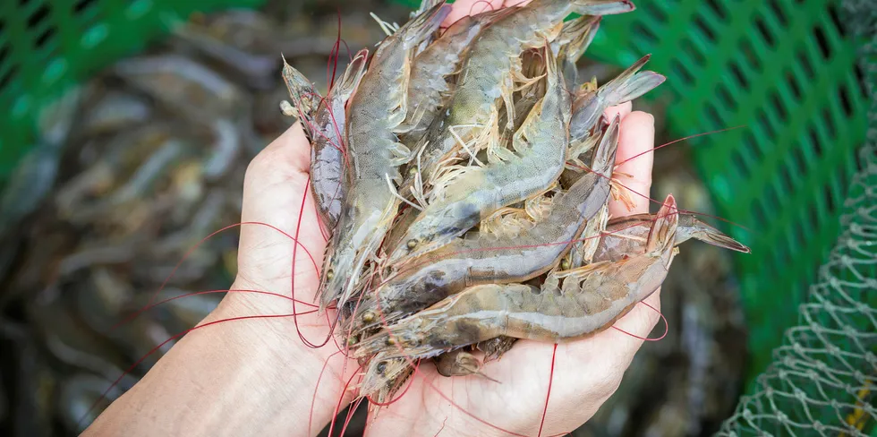 Raw shrimp.
