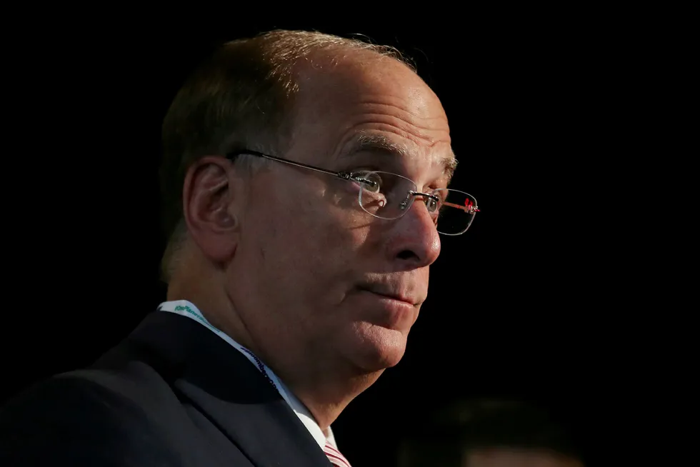 Transition: Larry Fink outlines climate strategy for BlackRock