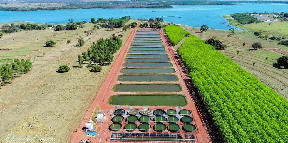 Documents obtained by IntraFish show that as GeneSeas struggled, raw material inputs used to make feed rose. Amongst them, corn rose 78 percent and soy 126 percent.