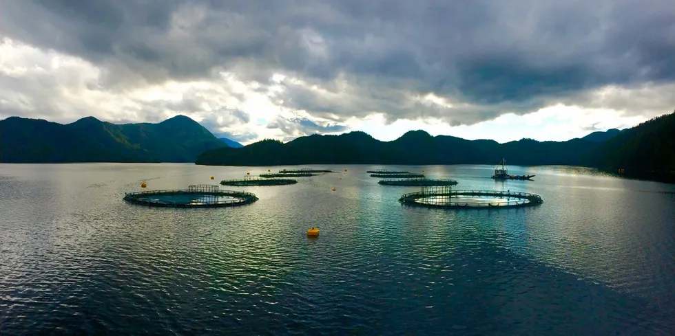 Mowi Canada West's salmon farms in Klemtu, British Columbia.