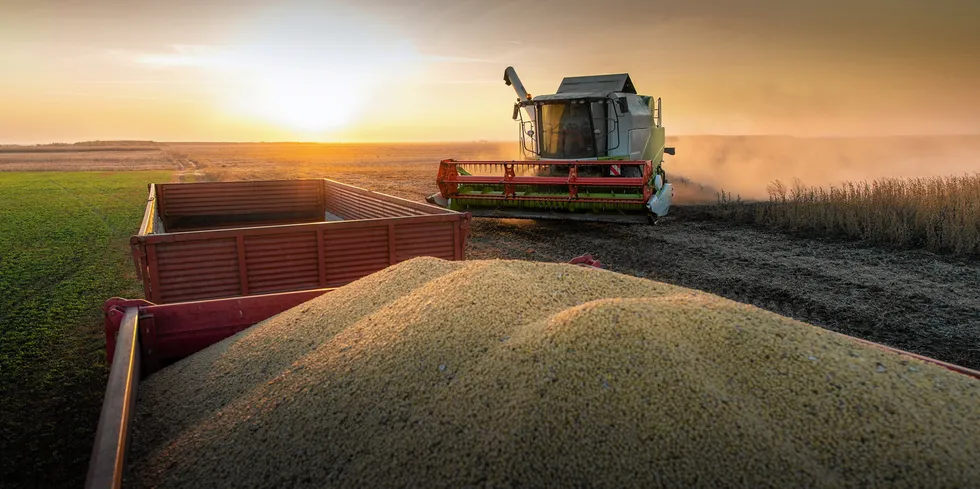 In Europe, farmers were already suffering under a prolonged drought and the recent heatwave struck at an important time in the crop-growing season, particularly for wheat, according the Guardian.