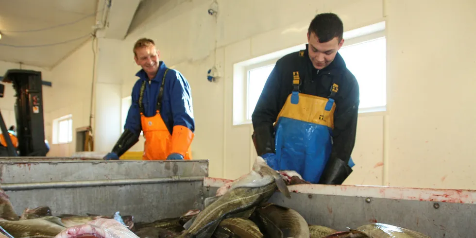 Analyst: Get ready for spike in fresh, frozen Atlantic cod prices