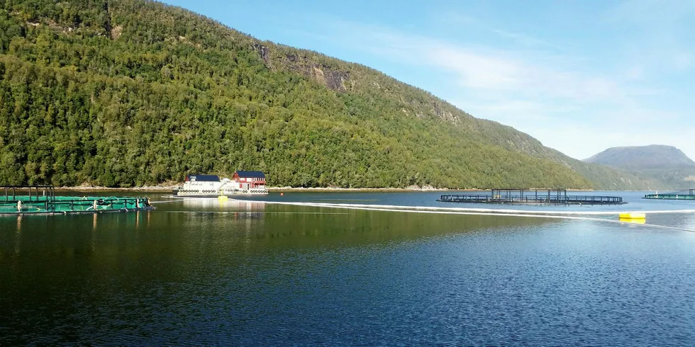 The company said that algal blooms are returning to normal.