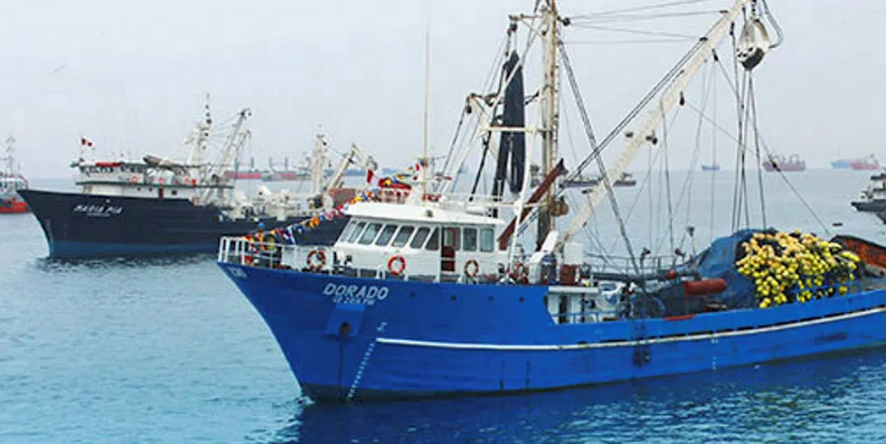 Exalmar will be hoping to make up for the shortfall in the second 2019 anchovy season which was abandoned due to the abundance of juvenile fish.