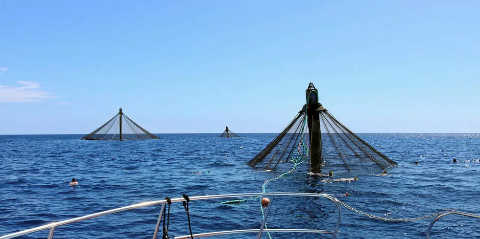 The AQUAA Act has been reintroduced in Congress to promote, grow and fund offshore aquaculture United States.