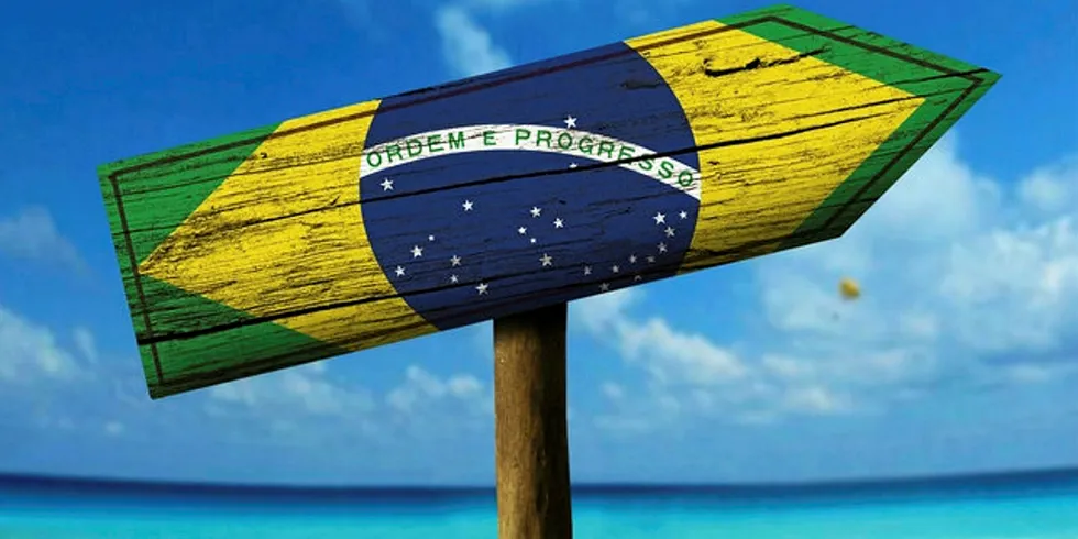 Brazilian corporates sign up over 230MW of new wind deals