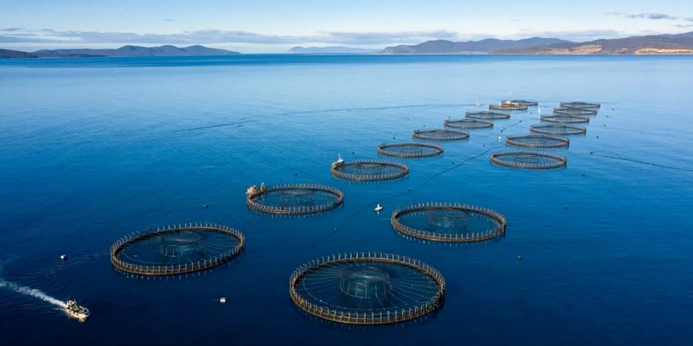 The compound, a synthetic antioxidant, is used to prevent fishmeal from spontaneously combusting while being transported at sea.