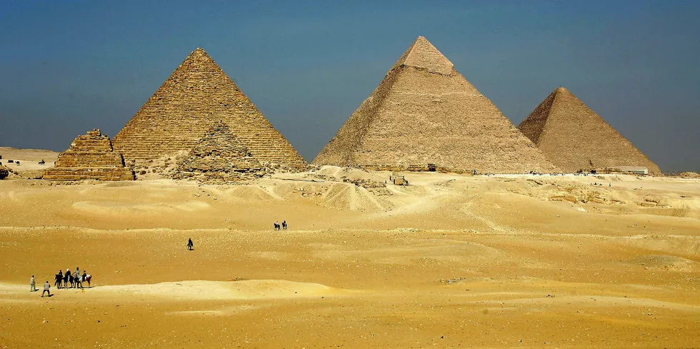 The three large pyramids of Menkaure (L), Khafre (C) and Khufu loom over the horizon, but it's aquaculture that may be Egypt's next big accomplishment.