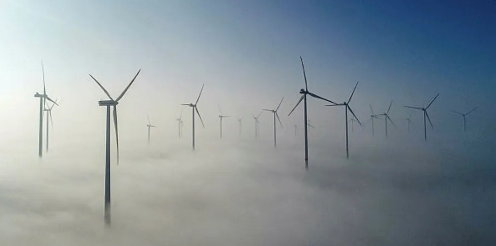 Odervorland wind farm in Jacobsdorf, Germany