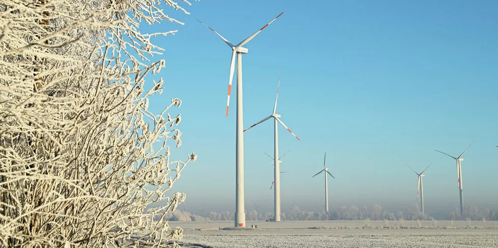wind farm near Irxleben, Germany, at below-zero temperatures