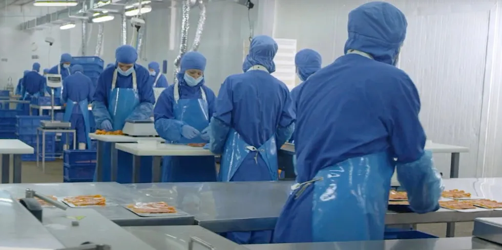 Universal Fish Company sources salmon and trout from big Norwegian companies such as Mowi, Leroy, Coast Seafood and Nordic Seafood.