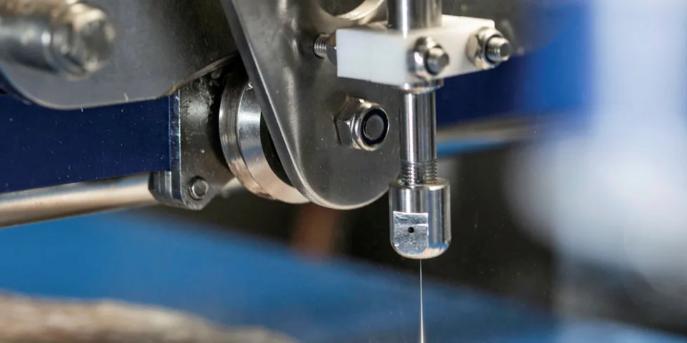The Marel FleXicut for whitefish processing.
