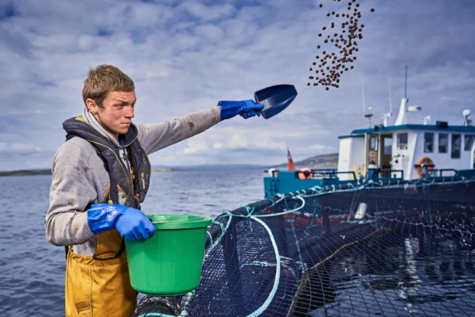 Cooke Aquaculture Scotland is the largest producer of organic Scottish salmon, which it grows exclusively in Orkney.