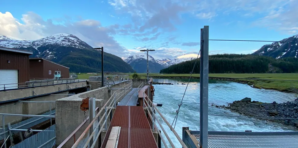 The Macaulay Salmon Hatchery in Alaska was recently impacted by a landslide.