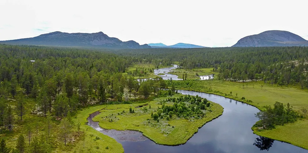 Rendalen in central Norway is an agricultural area. Fish waste from NAPOP's proposed farm would be used as fertilizer.