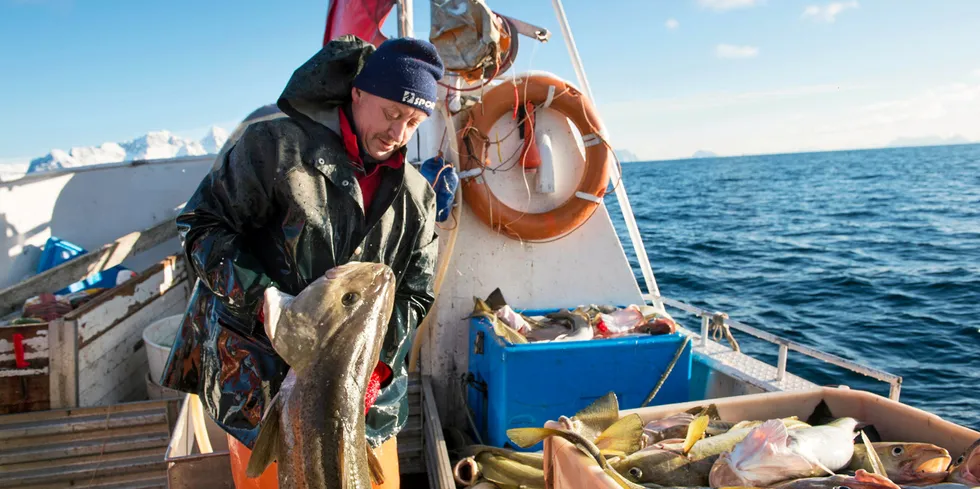 The cuts in the cod quota are starting to bear out in the export numbers.