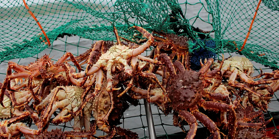 There were 41 crab lots at the auction for a total of around 46,000 metric tons of resources per year - slightly less than 50 percent of the country’s overall crab quota.