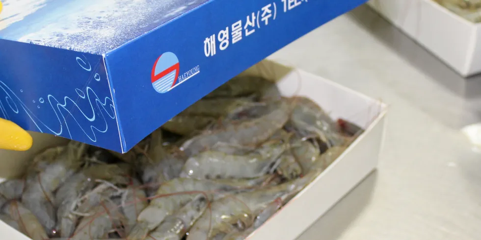 Ecuador shrimp exports leapt to a new high watermark in November.