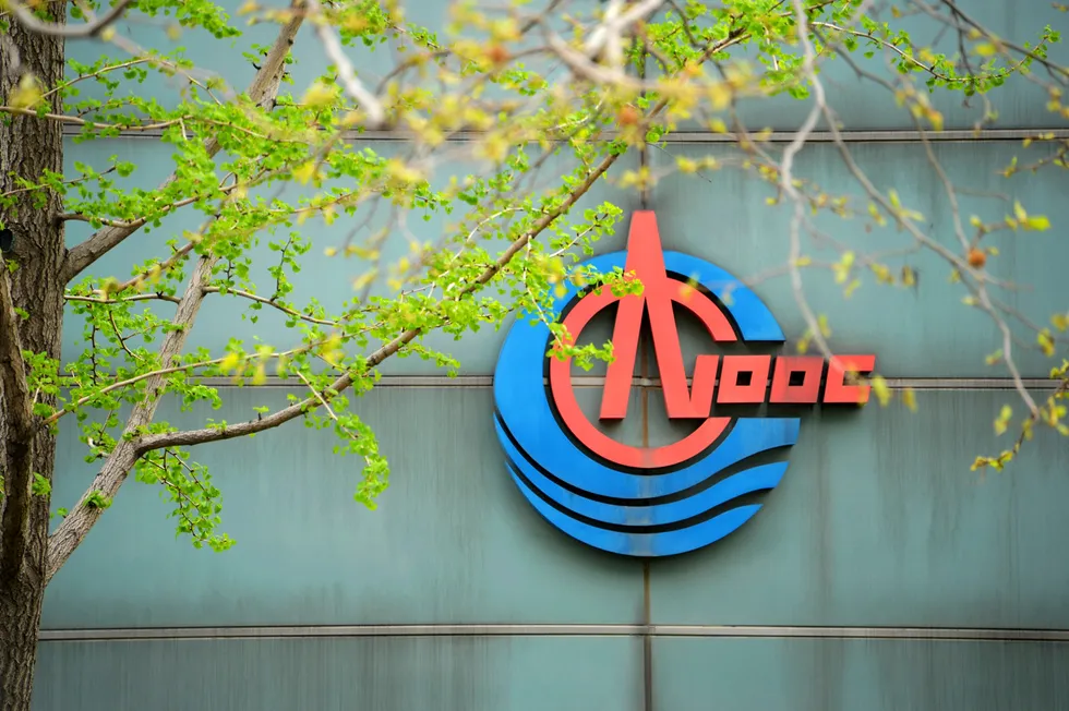Paving the way: CNOOC Ltd operates acreages at Beibu Gulf where it made its first shale oil discovery.