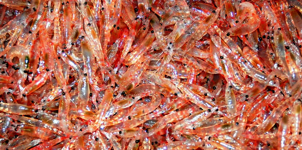 Marine research and catch by krill biotechnology company Aker BioMarine.