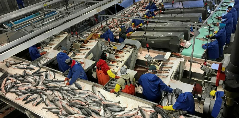 Silver Bay Seafoods' plant in Naknek had 3 employees recently test positive for coronavirus.