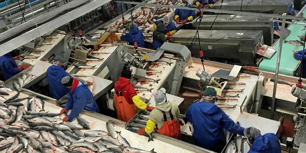 Silver Bay Seafoods is one of several companies in Alaska scrambling to hire workers this summer.