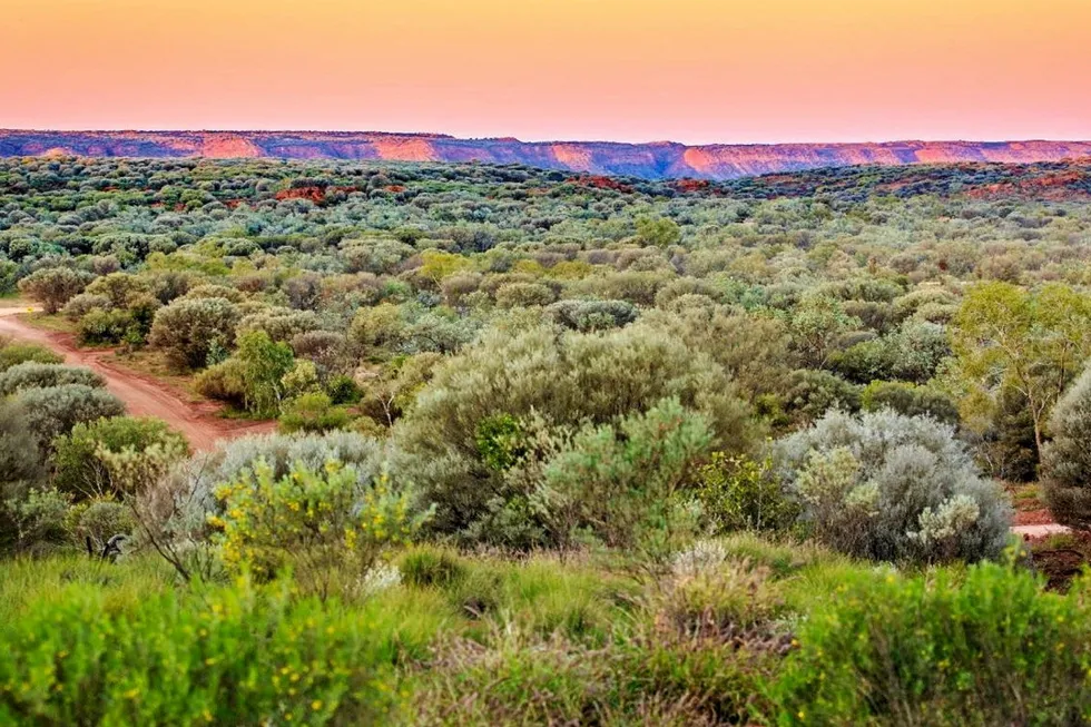 Farm-out attraction: the Amadeus basin, Australia
