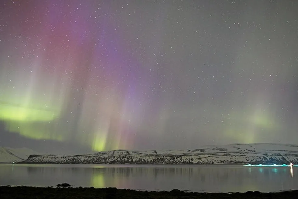 On Oct. 13, the Icelandic government announced the end of the governing coalition and called for elections to be held on Nov. 30.