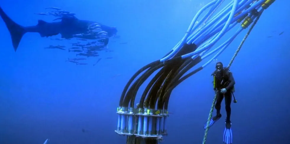 Artificial intelligence (AI) is helping offshore aquaculture become increasingly financially viable, says equipment and technology supplier Innovasea.